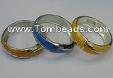 CEB150 19mm width silver plated alloy with enamel bangles wholesale