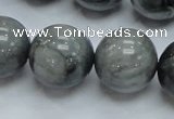 CEE08 15.5 inches 20mm round eagle eye jasper beads wholesale