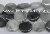 CEE202 15.5 inches 14mm flat round eagle eye jasper beads