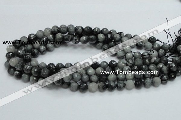 CEE21 15.5 inches 10mm faceted round eagle eye jasper beads wholesale