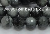 CEE22 15.5 inches 12mm faceted round eagle eye jasper beads wholesale