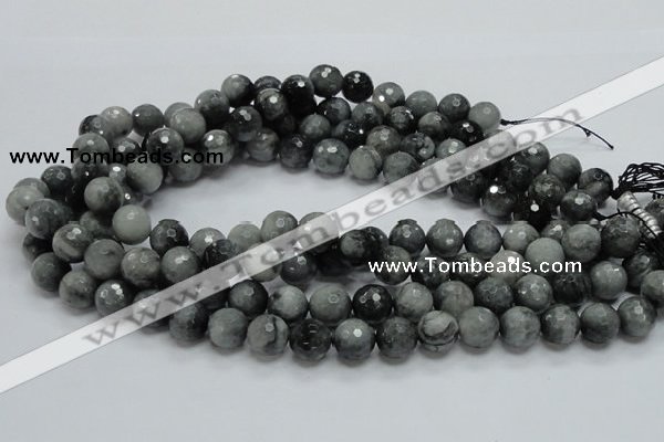 CEE22 15.5 inches 12mm faceted round eagle eye jasper beads wholesale