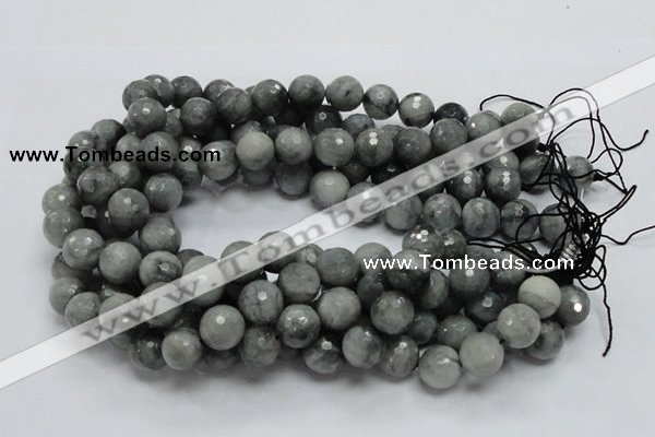 CEE23 15.5 inches 14mm faceted round eagle eye jasper beads wholesale