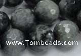 CEE24 15.5 inches 18mm faceted round eagle eye jasper beads wholesale