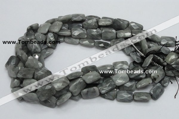 CEE33 15.5 inches 13*18mm faceted rectangle eagle eye jasper beads