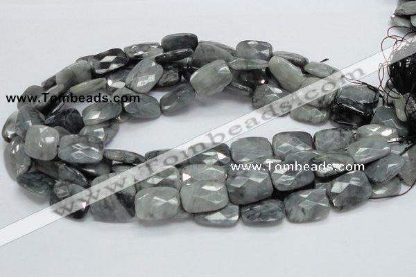 CEE34 15.5 inches 15*20mm faceted rectangle eagle eye jasper beads