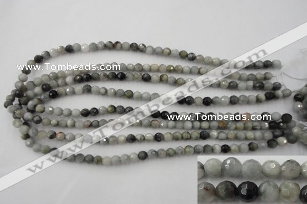 CEE351 15.5 inches 6mm faceted round eagle eye jasper beads