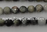 CEE353 15.5 inches 10mm faceted round eagle eye jasper beads