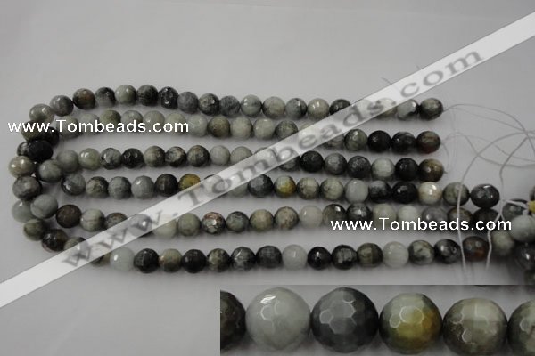 CEE353 15.5 inches 10mm faceted round eagle eye jasper beads