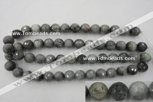 CEE355 15.5 inches 14mm faceted round eagle eye jasper beads