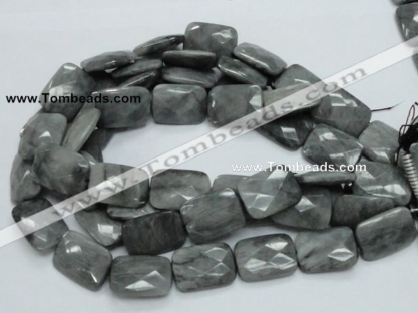 CEE36 15.5 inches 22*30mm faceted rectangle eagle eye jasper beads