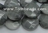 CEE38 15.5 inches 20mm faceted coin eagle eye jasper beads wholesale