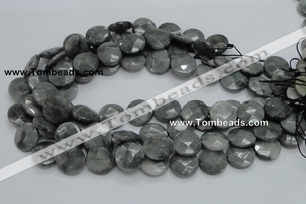 CEE38 15.5 inches 20mm faceted coin eagle eye jasper beads wholesale