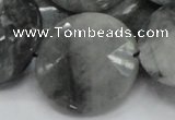 CEE40 15.5 inches 30mm faceted coin eagle eye jasper beads wholesale