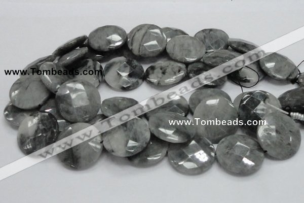 CEE40 15.5 inches 30mm faceted coin eagle eye jasper beads wholesale