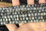 CEE510 15.5 inches 6mm round eagle eye jasper beads