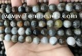 CEE526 15.5 inches 10mm round eagle eye jasper beads wholesale