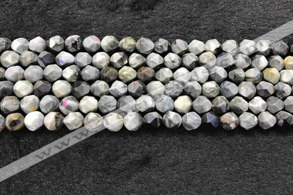 CEE530 15.5 inches 6mm faceted nuggets eagle eye jasper beads