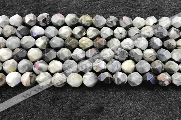 CEE532 15.5 inches 10mm faceted nuggets eagle eye jasper beads