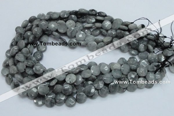 CEE56 15.5 inches 8mm faceted coin eagle eye jasper beads