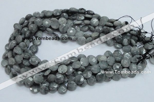 CEE57 15.5 inches 10mm faceted coin eagle eye jasper beads