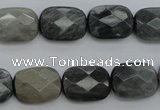 CEE81 15.5 inches 12*16mm faceted rectangle eagle eye jasper beads