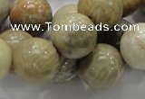 CFA04 15.5 inches 16mm round chrysanthemum agate gemstone beads