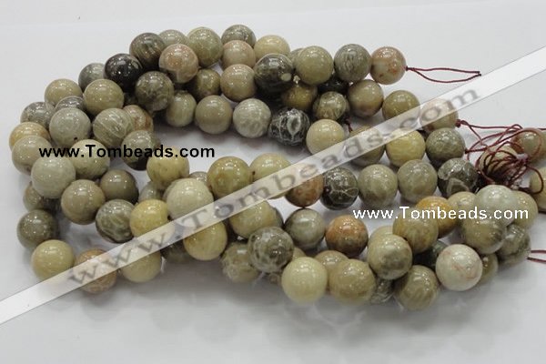 CFA04 15.5 inches 16mm round chrysanthemum agate gemstone beads