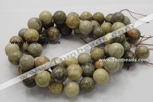 CFA05 15.5 inches 20mm round chrysanthemum agate gemstone beads