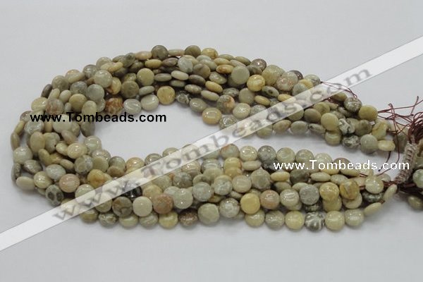 CFA06 15.5 inches 10mm flat round chrysanthemum agate gemstone beads