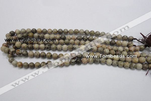 CFA26 15.5 inches 8mm round chrysanthemum agate gemstone beads