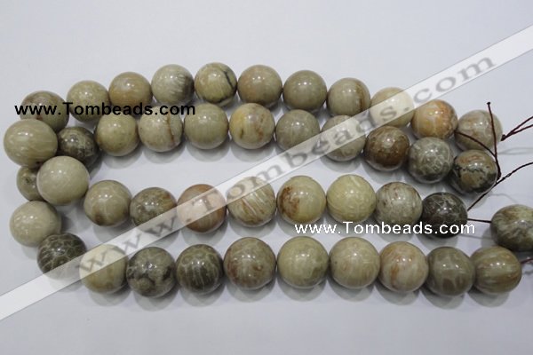 CFA27 15.5 inches 18mm round chrysanthemum agate gemstone beads