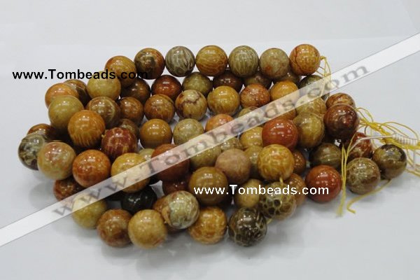 CFA34 15.5 inches 20mm round yellow chrysanthemum agate beads