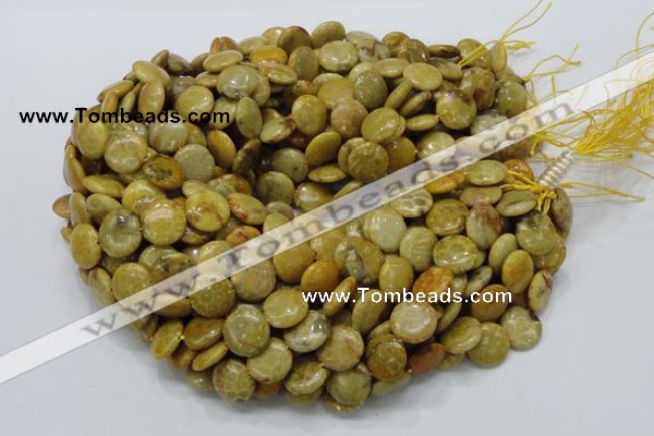 CFA42 15.5 inches 15mm flat round yellow chrysanthemum agate beads