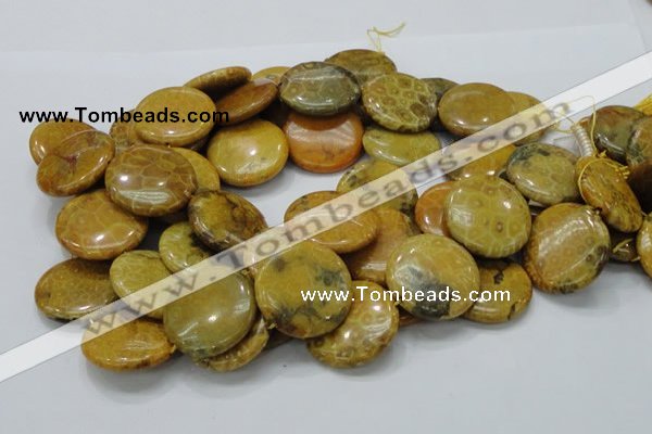 CFA45 15.5 inches 30mm flat round yellow chrysanthemum agate beads