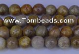 CFC200 15.5 inches 4mm round fossil coral beads wholesale