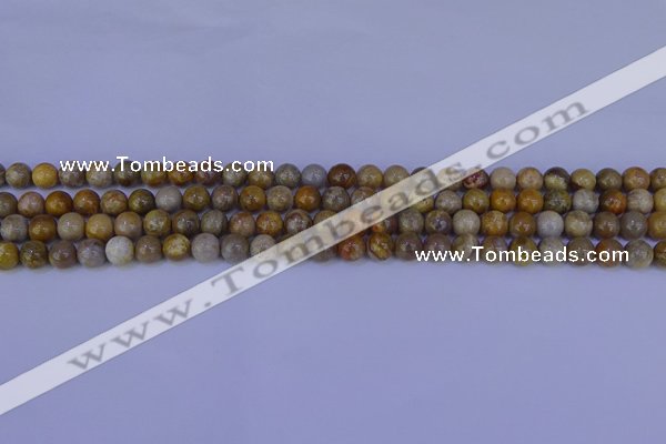 CFC200 15.5 inches 4mm round fossil coral beads wholesale