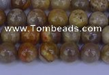 CFC201 15.5 inches 6mm round fossil coral beads wholesale