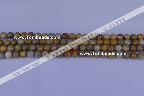 CFC201 15.5 inches 6mm round fossil coral beads wholesale