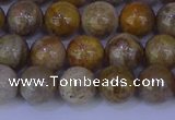 CFC202 15.5 inches 8mm round fossil coral beads wholesale