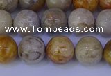 CFC203 15.5 inches 10mm round fossil coral beads wholesale