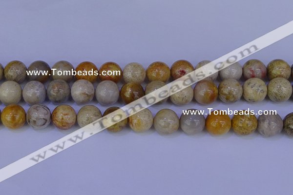 CFC205 15.5 inches 14mm round fossil coral beads wholesale