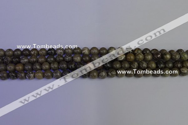 CFC211 15.5 inches 6mm round grey fossil coral beads wholesale