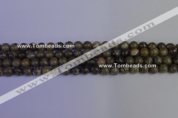 CFC212 15.5 inches 8mm round grey fossil coral beads wholesale