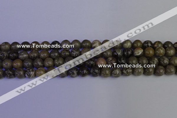 CFC213 15.5 inches 10mm round grey fossil coral beads wholesale