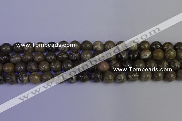 CFC214 15.5 inches 12mm round grey fossil coral beads wholesale