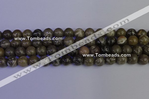 CFC215 15.5 inches 14mm round grey fossil coral beads wholesale