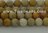 CFC221 15.5 inches 6mm round matte fossil coral beads wholesale