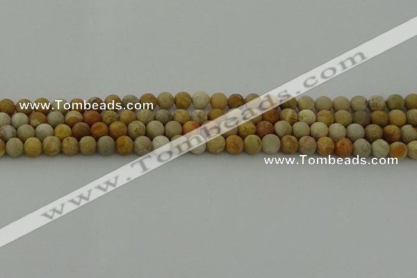 CFC221 15.5 inches 6mm round matte fossil coral beads wholesale