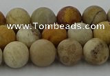 CFC222 15.5 inches 8mm round matte fossil coral beads wholesale